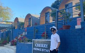 Cherry Vũng Tàu